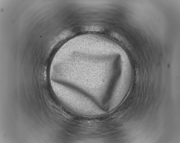 X0000088360731200706121054