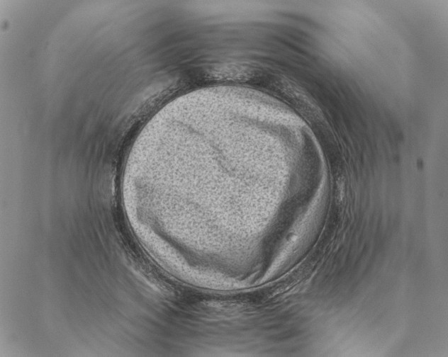 X0000088360733200706121054