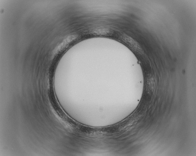 X0000088360734200706121054