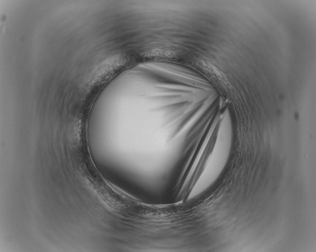 X0000088360735200706121054