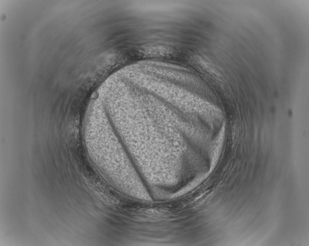 X0000088360737200706121054