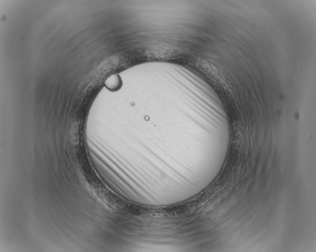 X0000088360738200706121054