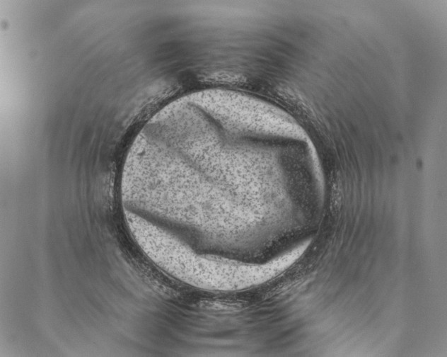 X0000088360739200706121054