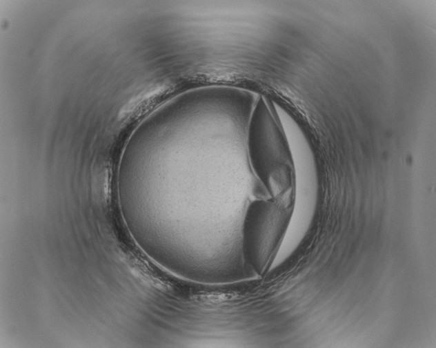 X0000088360740200706121054