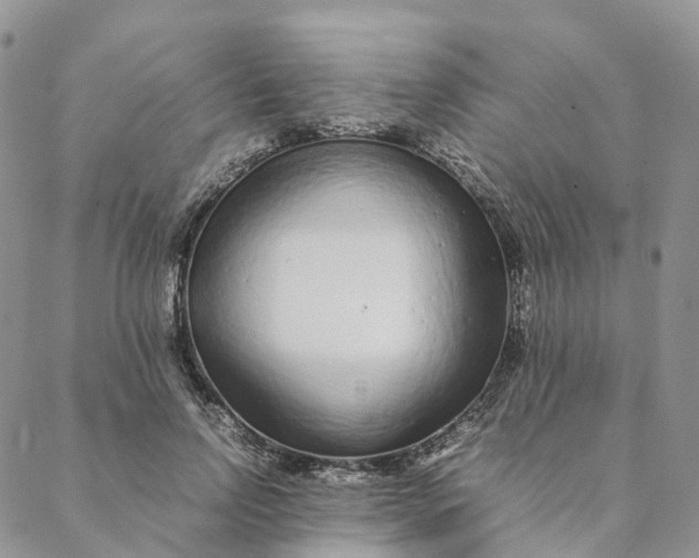 X0000088360742200706121054