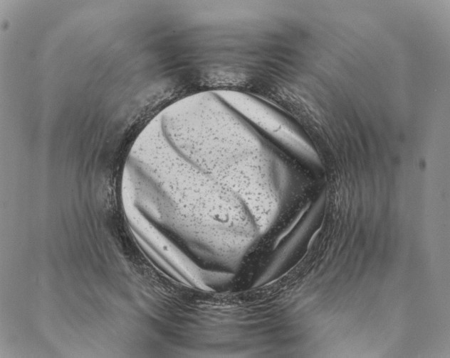 X0000088360743200706121054