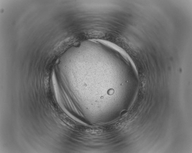 X0000088360745200706121055