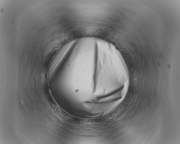 X0000088360746200706121055