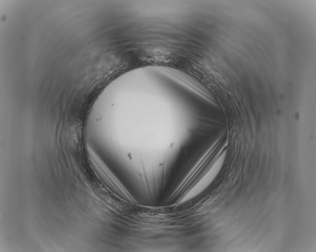 X0000088360747200706121055