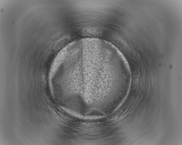 X0000088360749200706121055