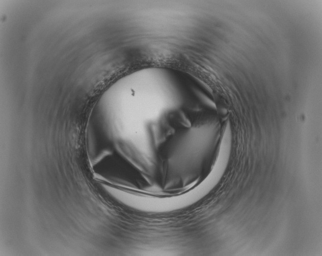 X0000088360750200706121055