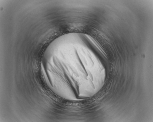 X0000088360751200706121055