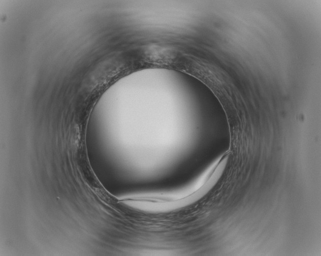 X0000088360752200706121055