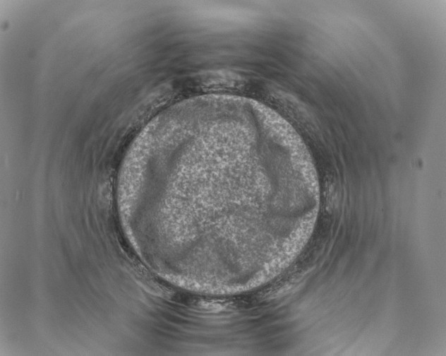 X0000088360753200706121055