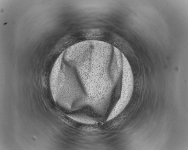 X0000088360755200706121055