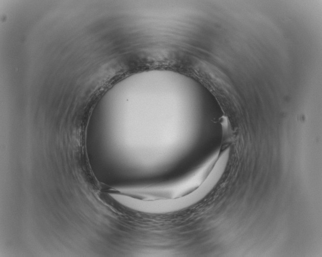 X0000088360756200706121055