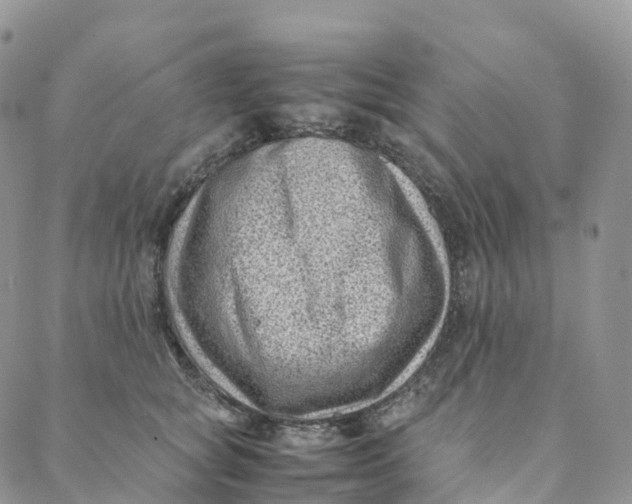 X0000088360757200706121055