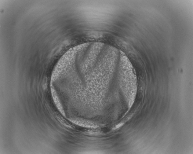 X0000088360758200706121055