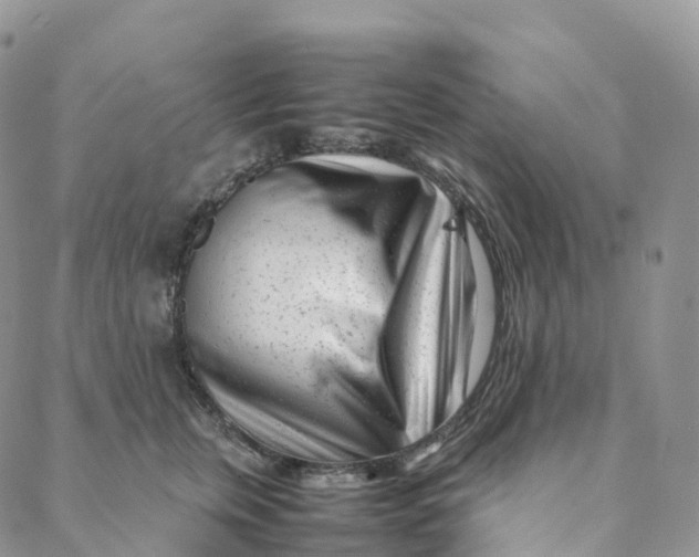 X0000088360759200706121055