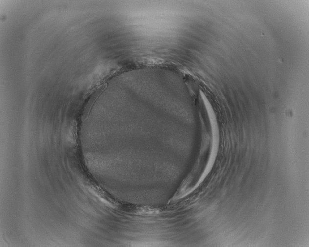 X0000088360760200706121055