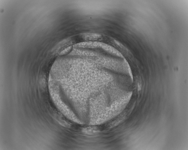 X0000088360761200706121055