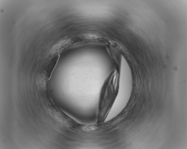 X0000088360762200706121055