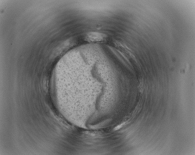 X0000088360763200706121055