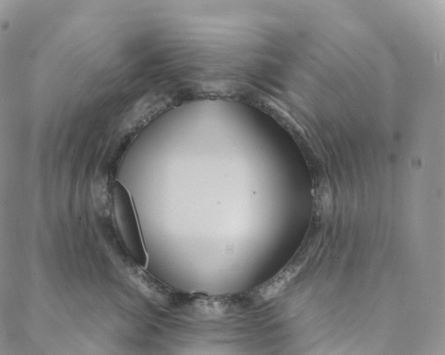 X0000088360764200706121055