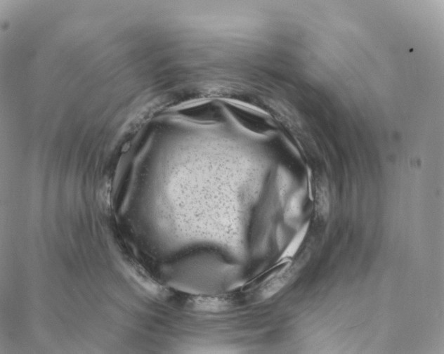 X0000088360766200706121055