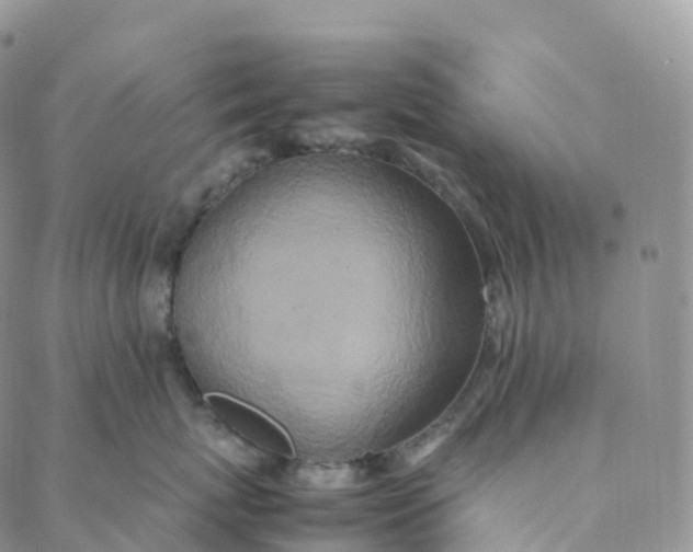 X0000088360767200706121055