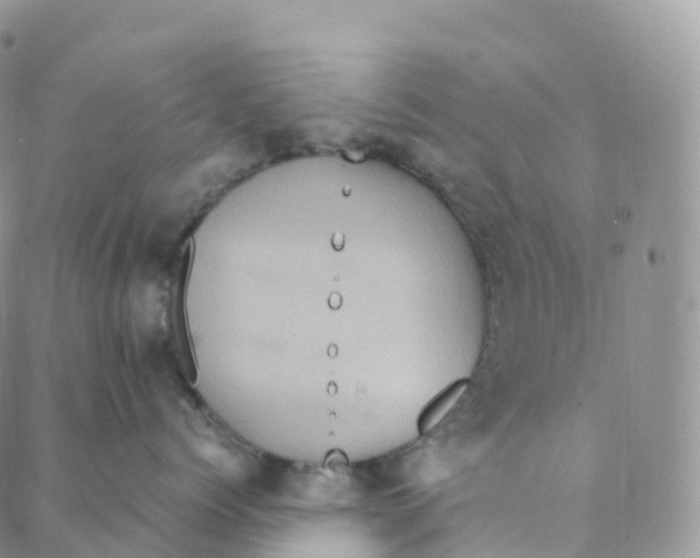 X0000088360768200706121055