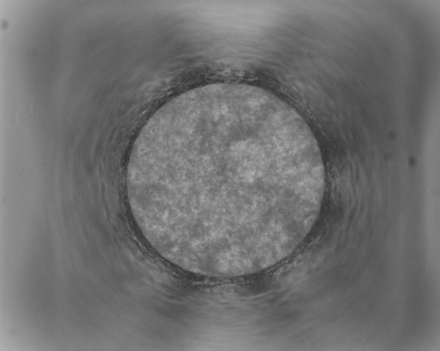 X0000088360769200706121054