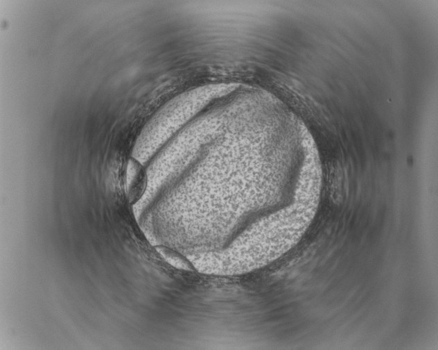 X0000088360770200706121054