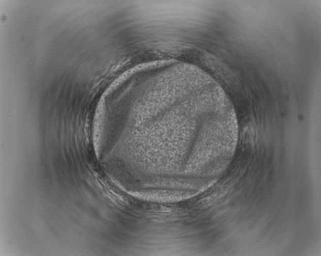 X0000088360772200706121054