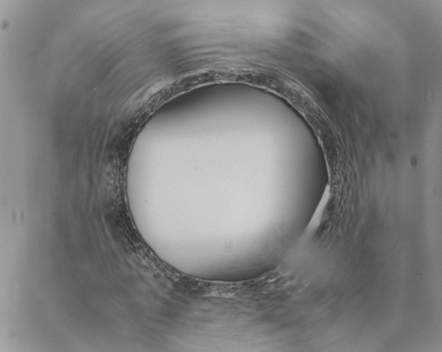 X0000088360773200706121054