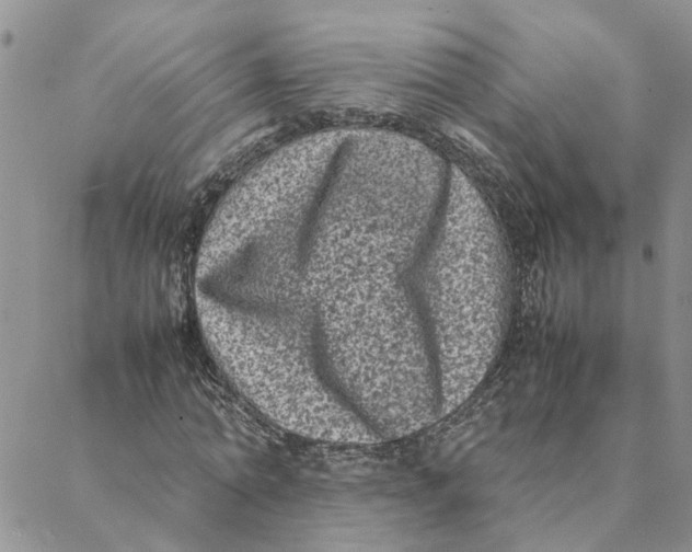 X0000088360774200706121054