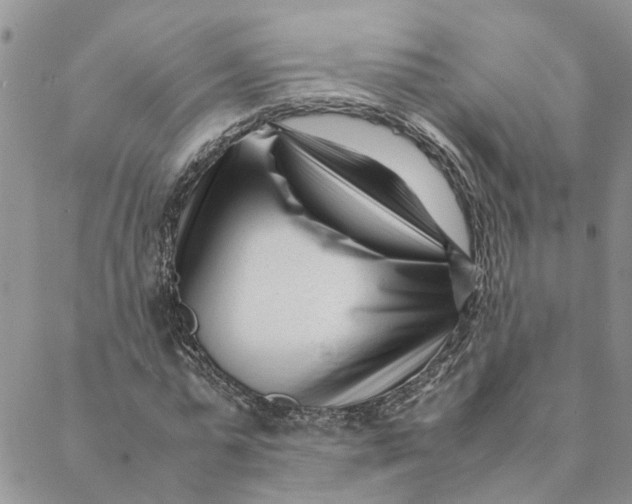 X0000088360775200706121054