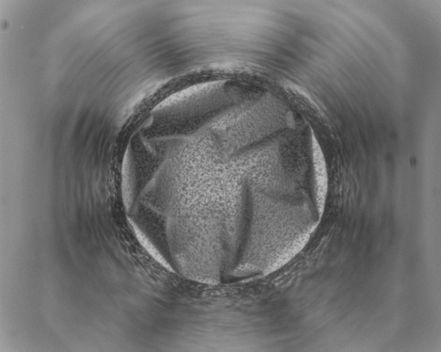 X0000088360776200706121054