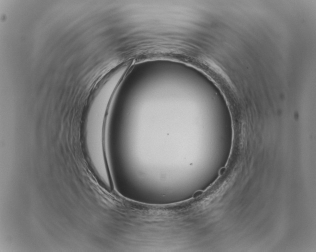 X0000088360777200706121054