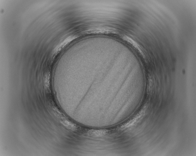 X0000088360778200706121054