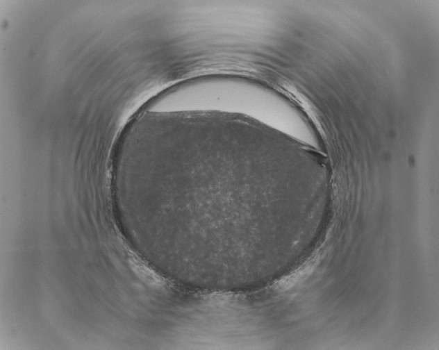 X0000088360779200706121054