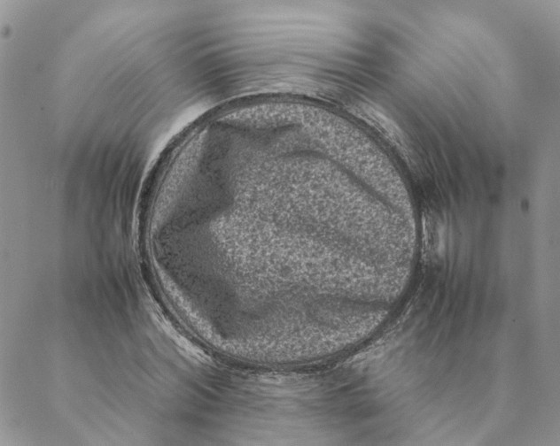 X0000088360780200706121054