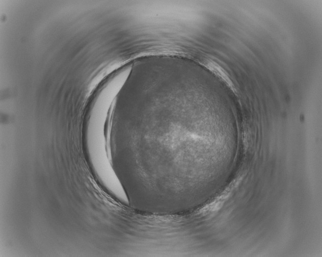 X0000088360781200706121054