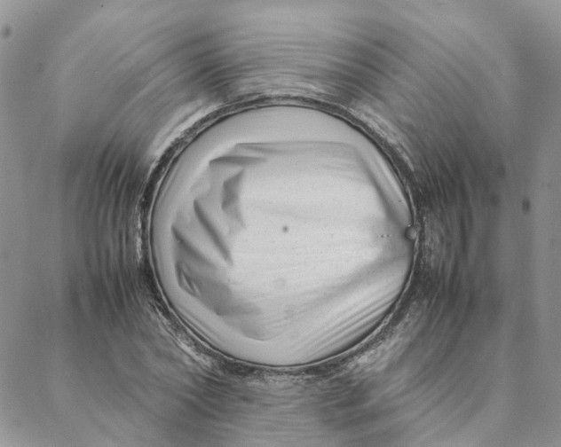 X0000088360782200706121054