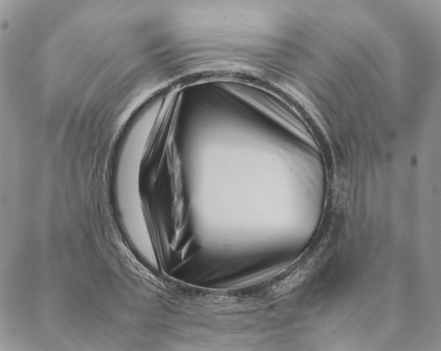 X0000088360783200706121054