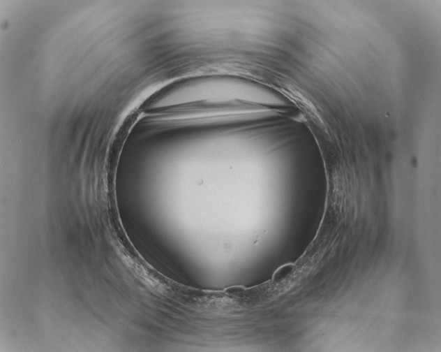 X0000088360784200706121054