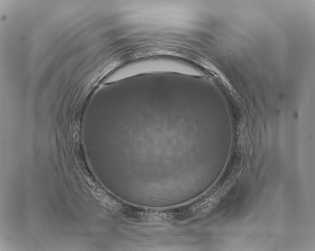 X0000088360785200706121054