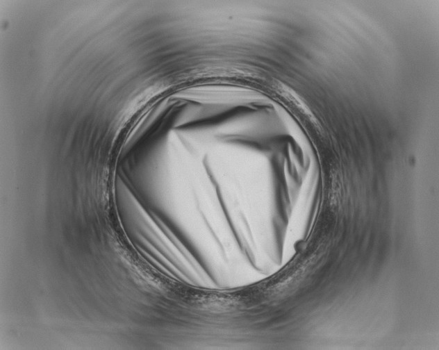 X0000088360786200706121054