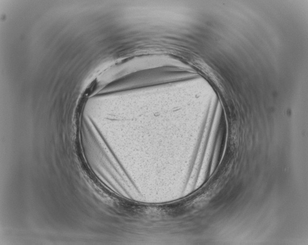 X0000088360787200706121054