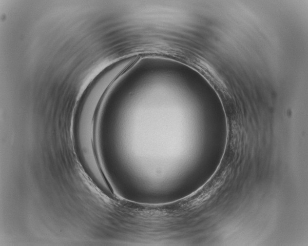 X0000088360788200706121054